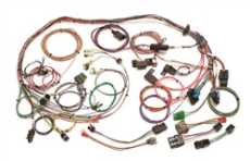 Fuel Injection Wire Harness